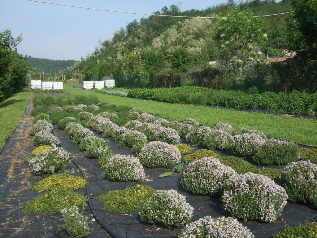 Agriturismo Cascina Rossano Провалио д'Исео Екстериор снимка