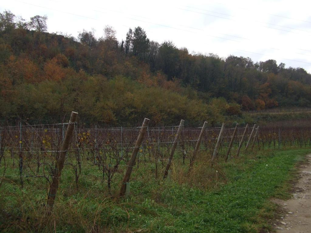 Agriturismo Cascina Rossano Провалио д'Исео Екстериор снимка