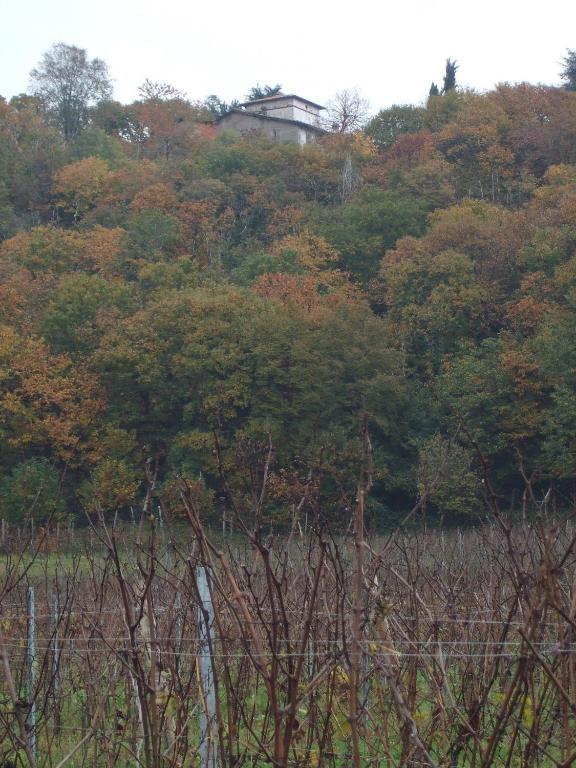 Agriturismo Cascina Rossano Провалио д'Исео Екстериор снимка