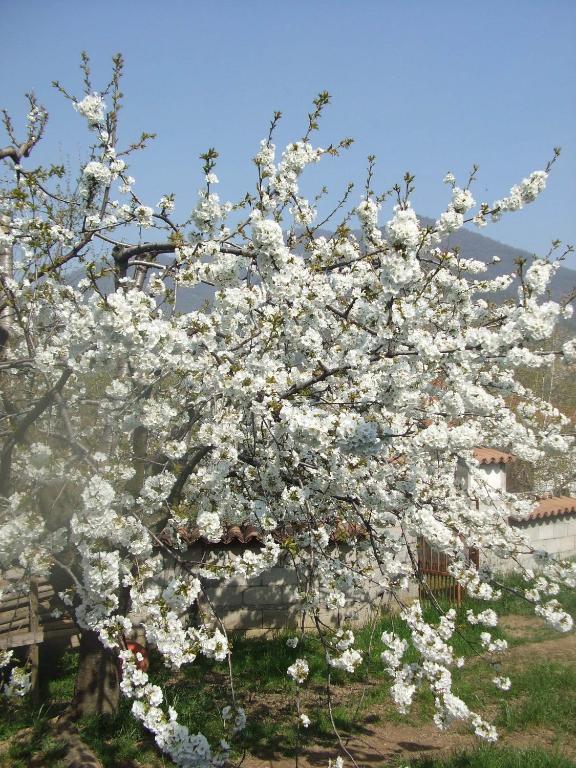 Agriturismo Cascina Rossano Провалио д'Исео Екстериор снимка