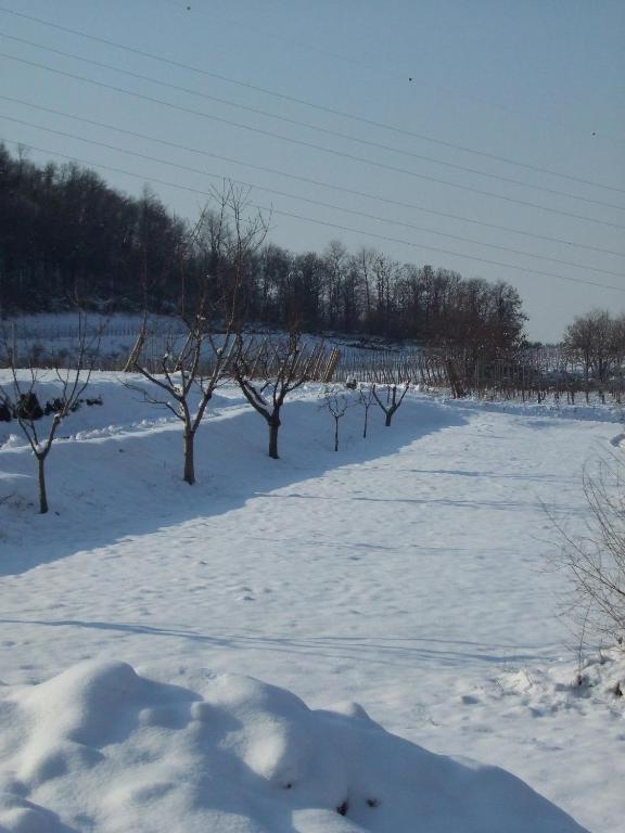 Agriturismo Cascina Rossano Провалио д'Исео Екстериор снимка